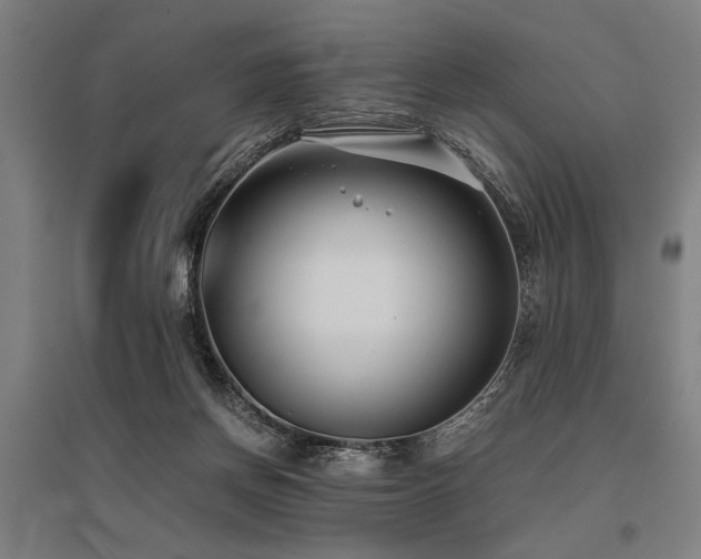 X0000096160166200801181232
