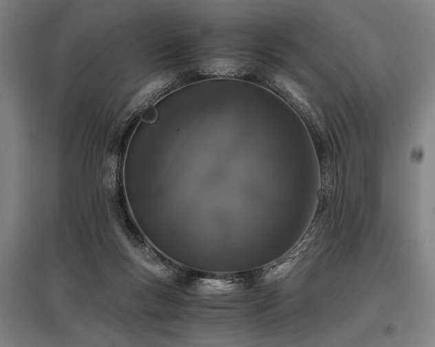 X0000096160167200801181232