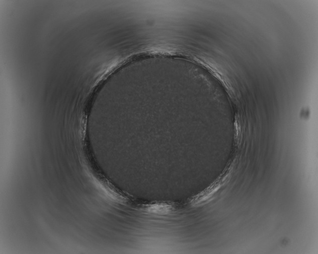X0000096160168200801181232
