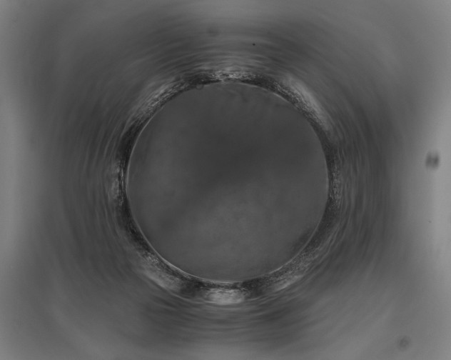 X0000096160169200801181232