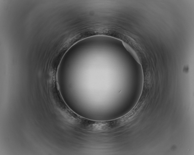 X0000096160172200801181232