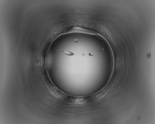 X0000096160173200801181232