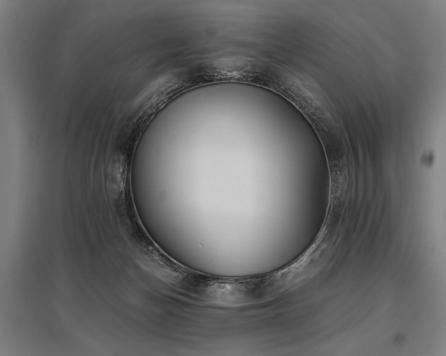 X0000096160174200801181232