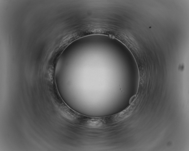 X0000096160175200801181232