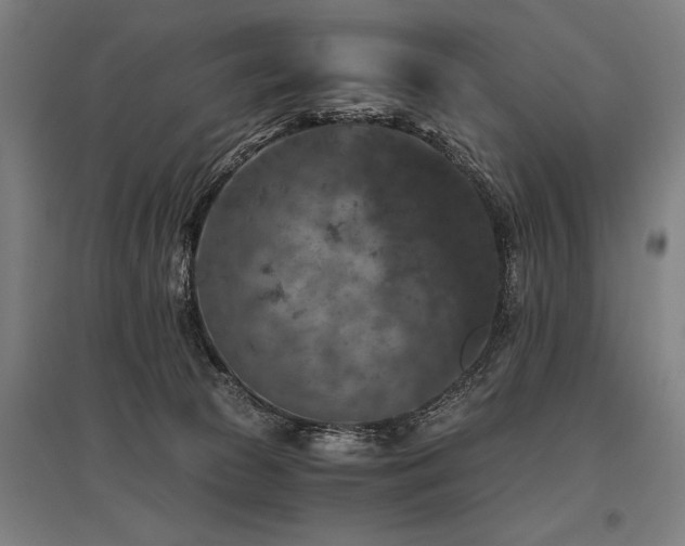 X0000096160177200801181232