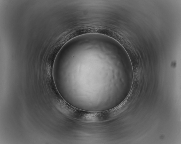 X0000096160178200801181232