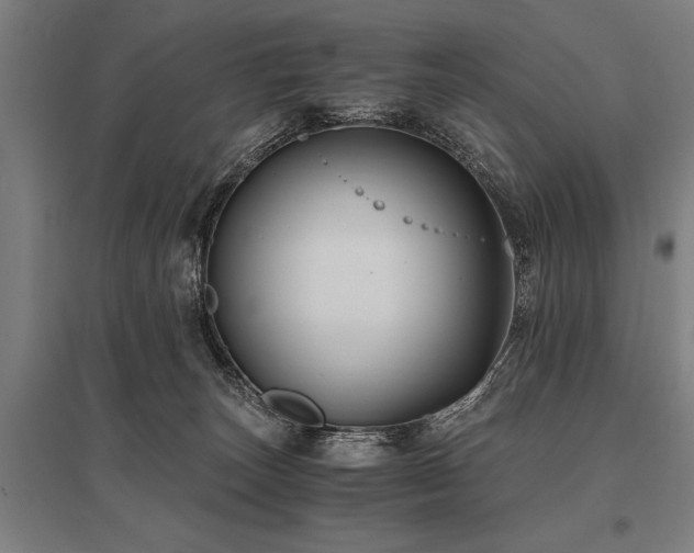 X0000096160179200801181232