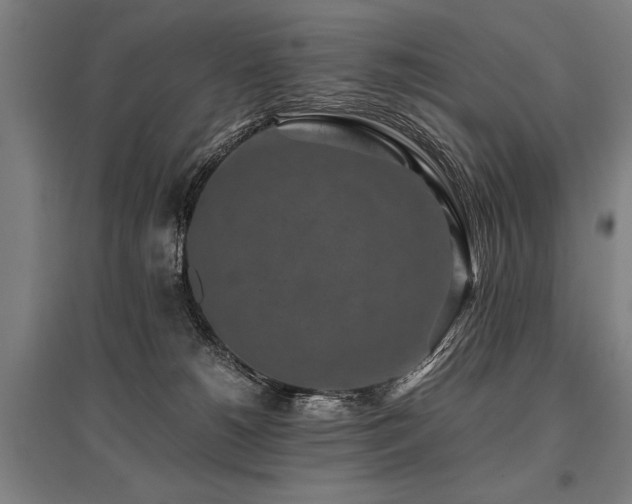 X0000096160180200801181232