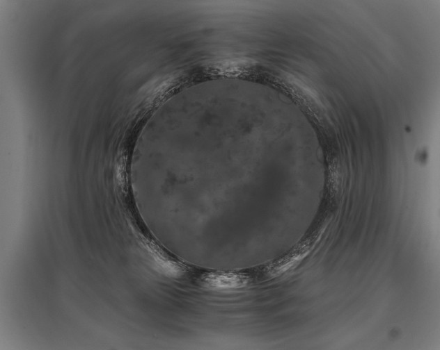 X0000096160181200801181232