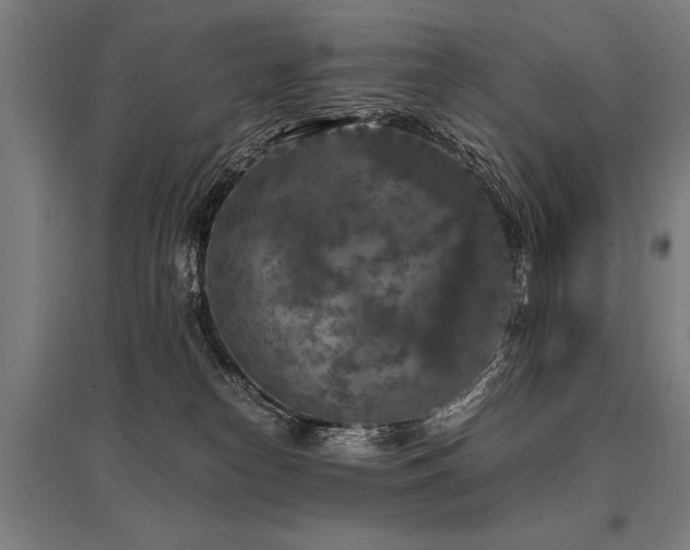 X0000096160182200801181232