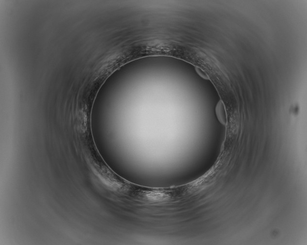 X0000096160183200801181232