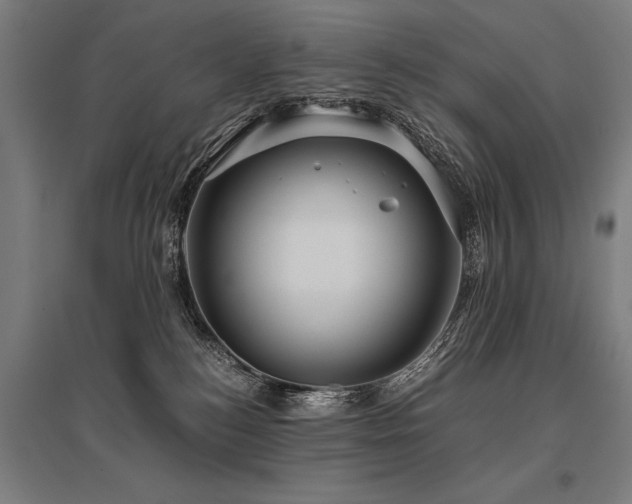 X0000096160184200801181232