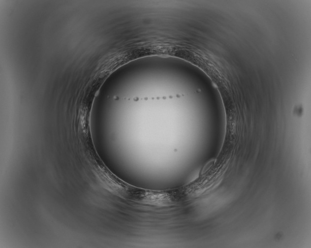 X0000096160185200801181232