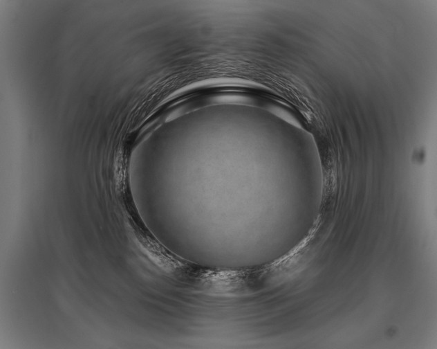 X0000096160186200801181232