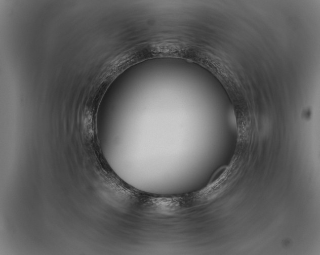 X0000096160187200801181232