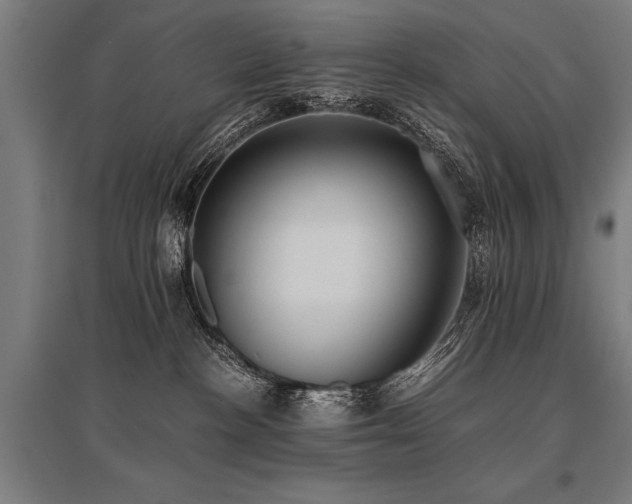 X0000096160188200801181233
