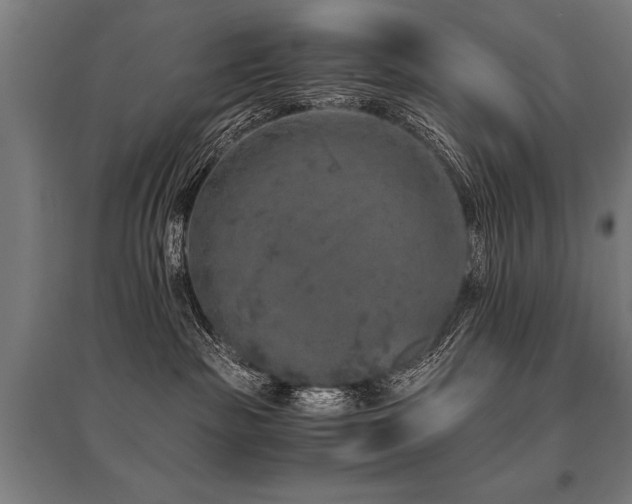 X0000096160189200801181233