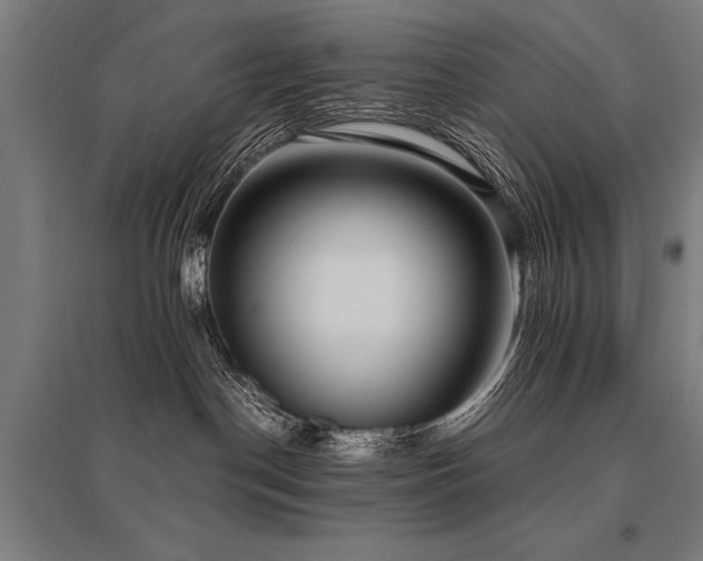 X0000096160190200801181233