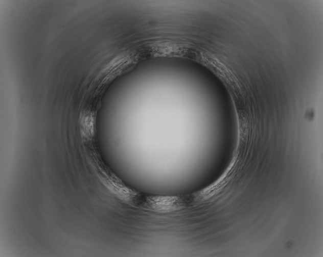 X0000096160191200801181233