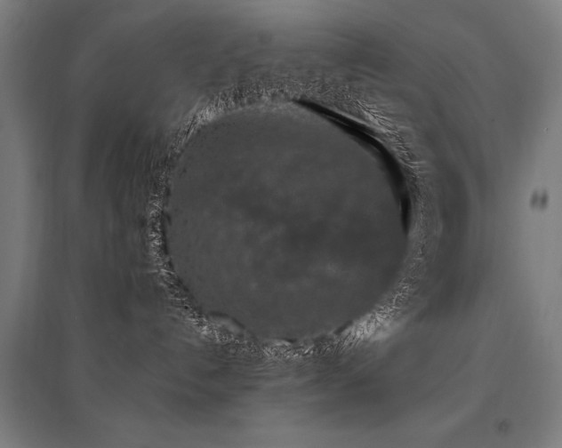 X0000096160192200801181233