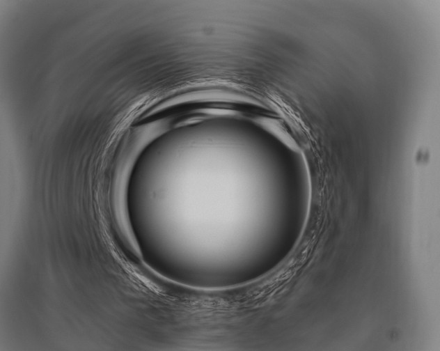 X0000096160193200801181232