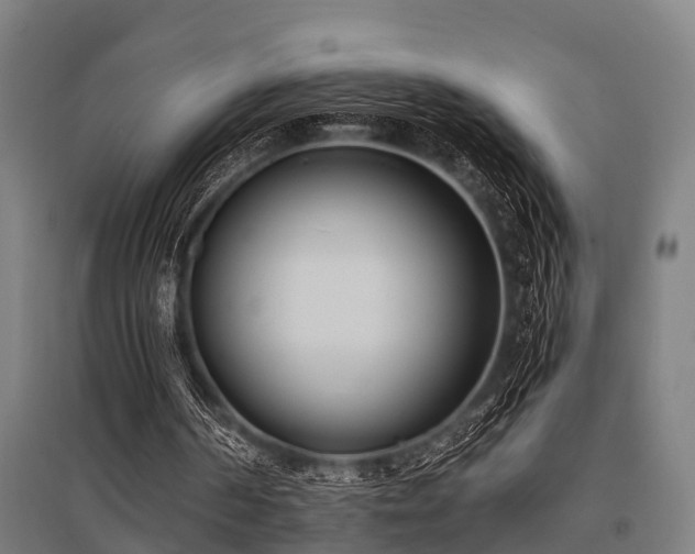 X0000096160194200801181232