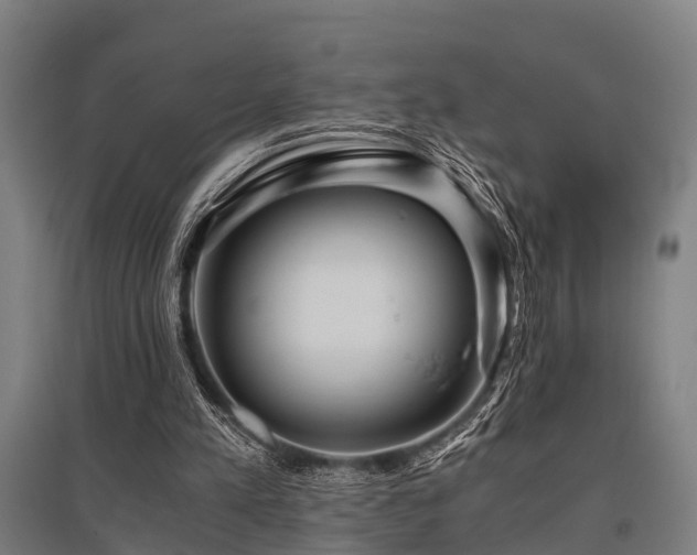 X0000096160197200801181232