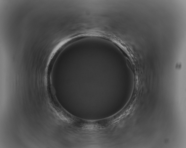 X0000096160200200801181232