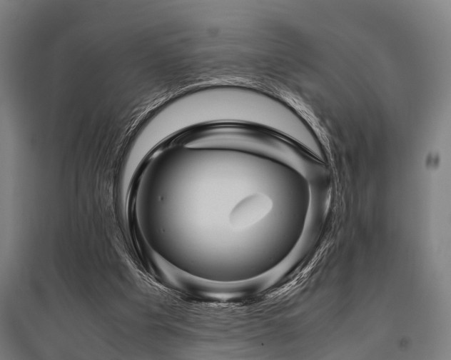 X0000096160201200801181232