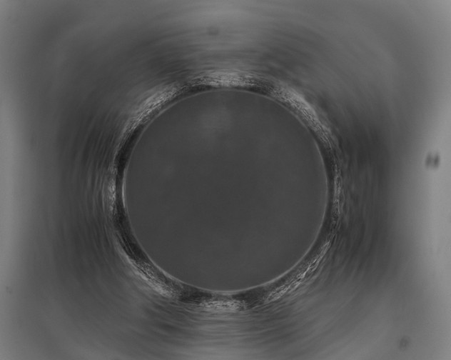 X0000096160202200801181232