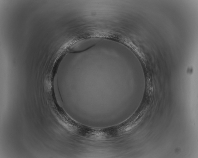 X0000096160203200801181232