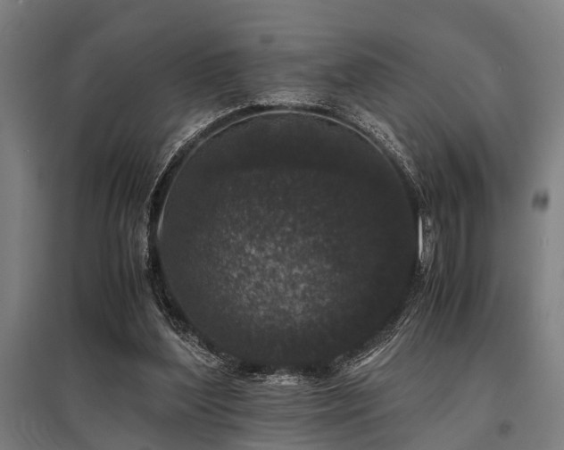 X0000096160204200801181232