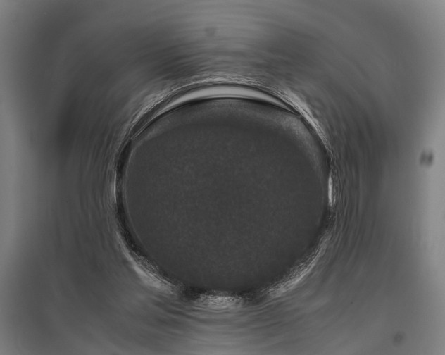 X0000096160205200801181232