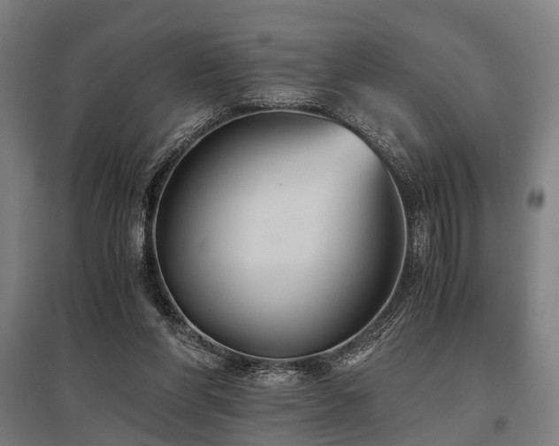 X0000096160206200801181232