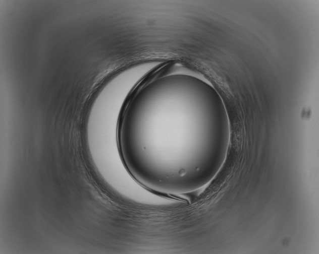 X0000096160207200801181232