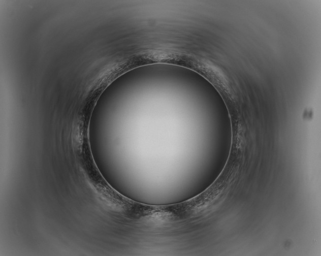 X0000096160210200801181232