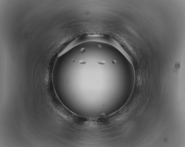 X0000096160211200801181232
