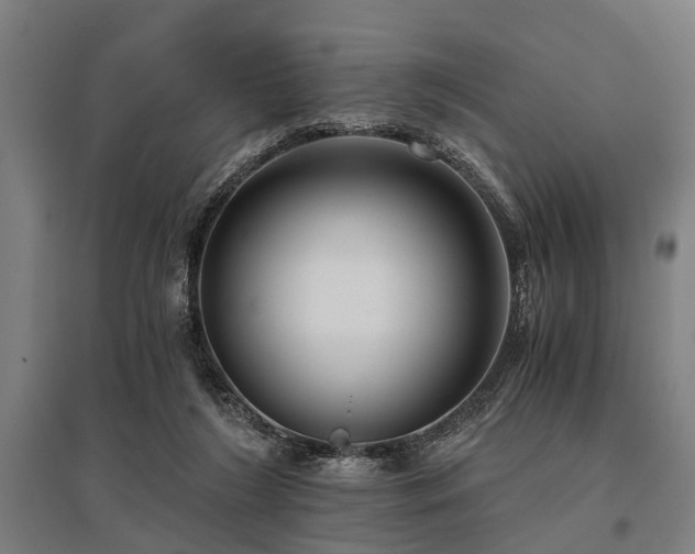 X0000096160212200801181232