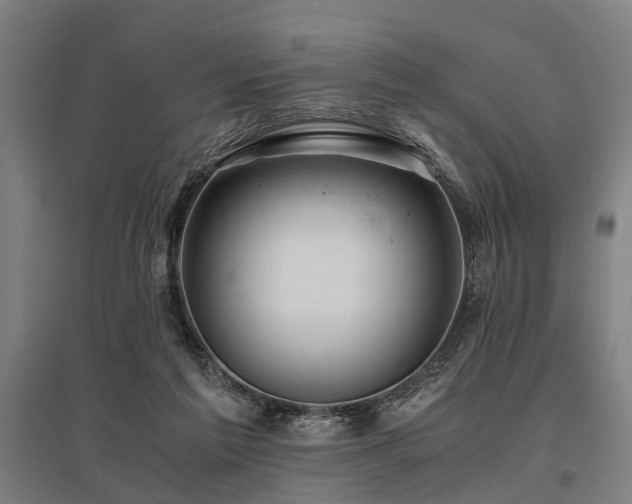 X0000096160213200801181232