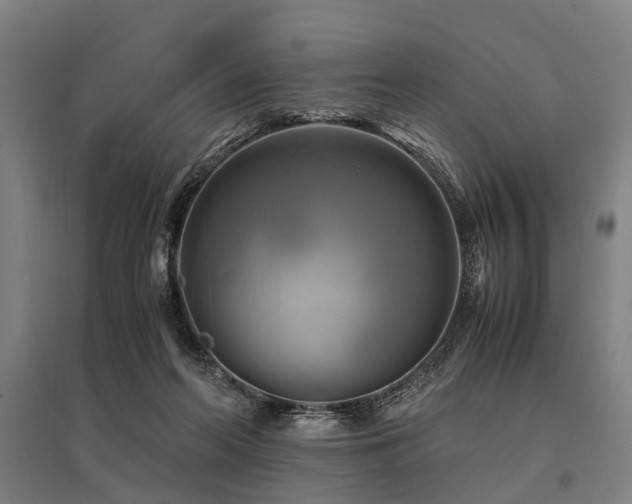 X0000096160214200801181232