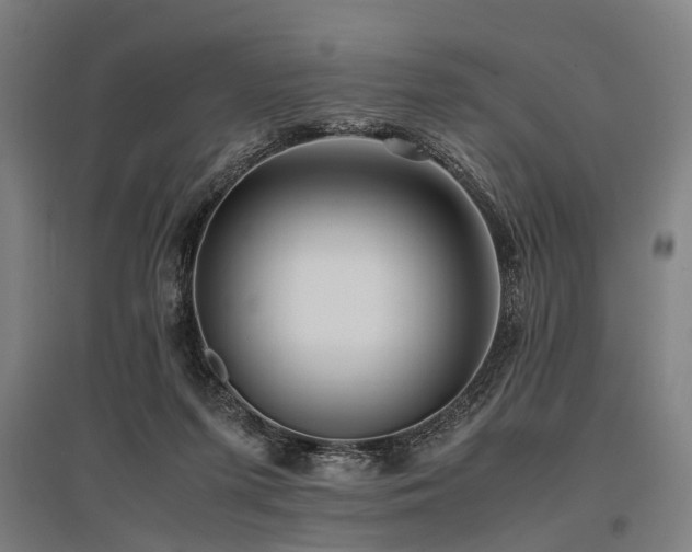 X0000096160215200801181232