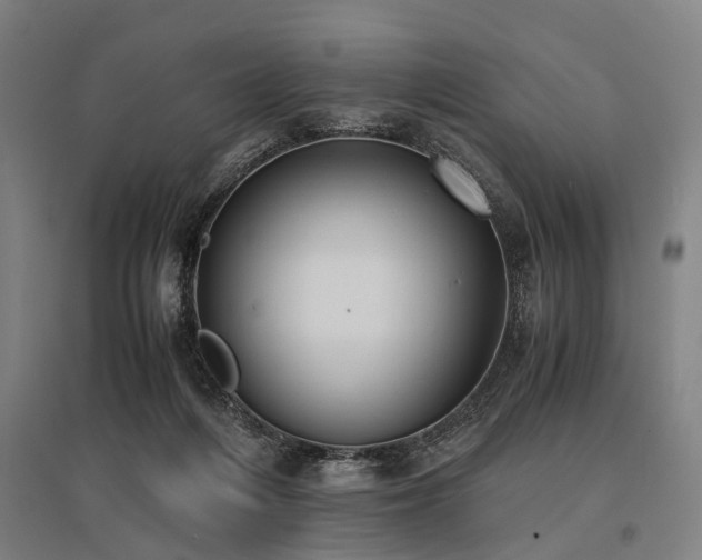 X0000096160216200801181232