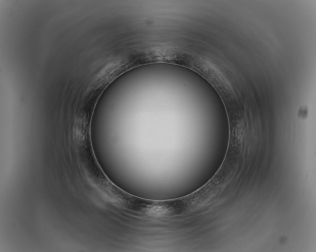 X0000096160218200801181232