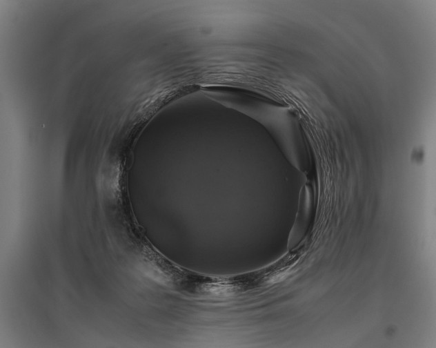 X0000096160219200801181232