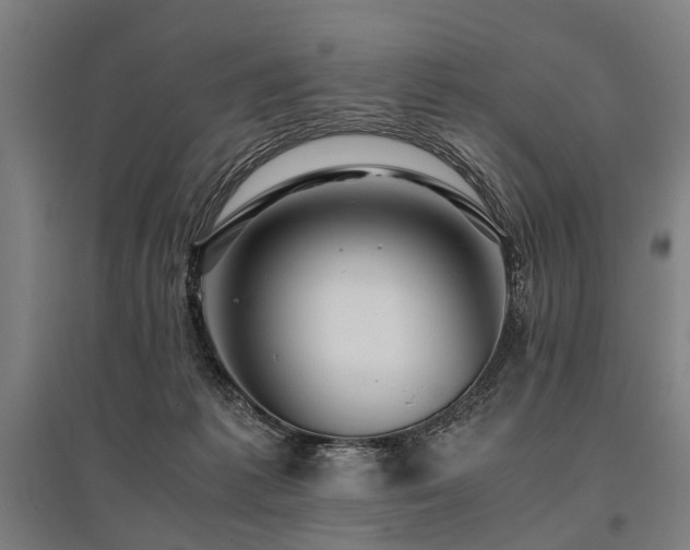 X0000096160221200801181232