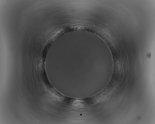 X0000096160222200801181231