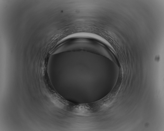 X0000096160223200801181231