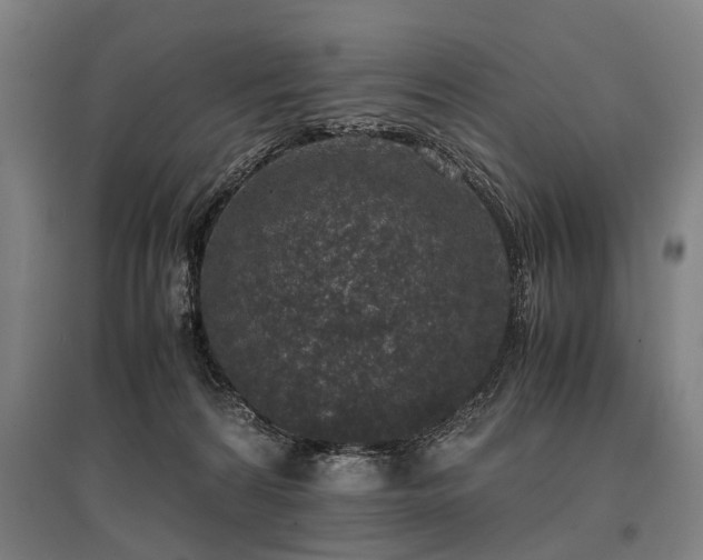 X0000096160224200801181231