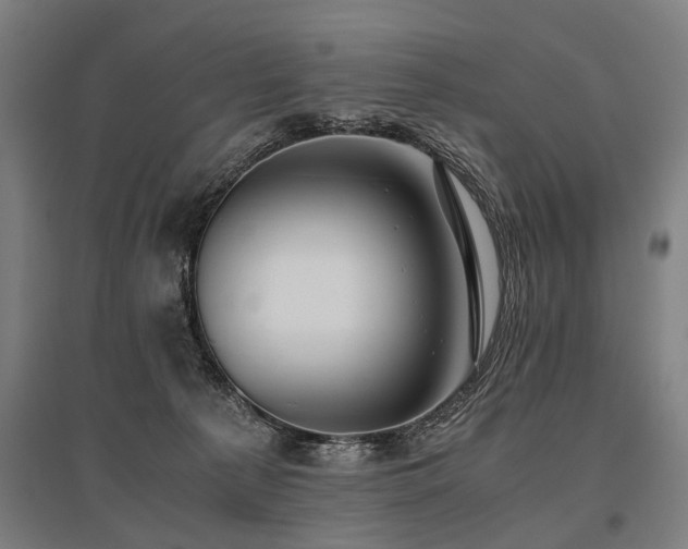 X0000096160225200801181231