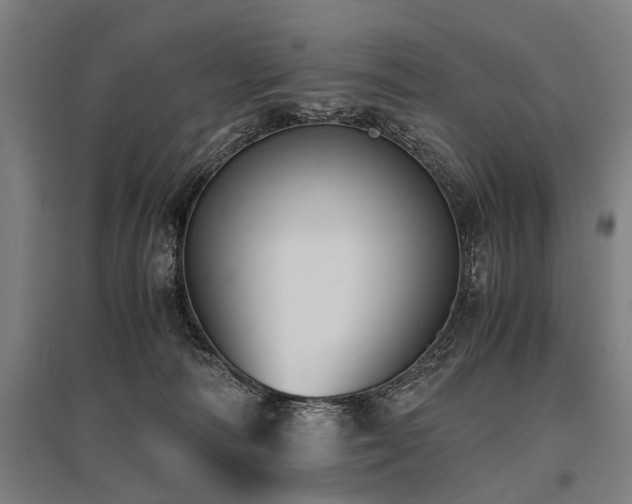 X0000096160226200801181231